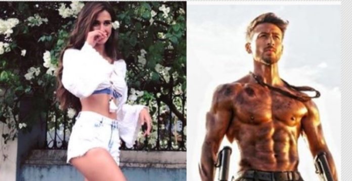 disha patni birthday wish to baaghi3 tiger