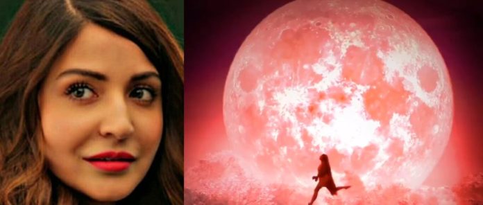After 'Paatal Lok' Anushka Sharma Presents 