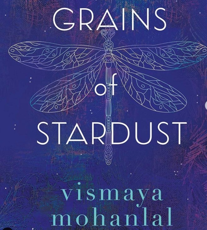 Grains of Stardust