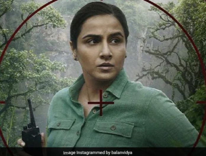 Sherni Vidya Balan Teaser Grips You from the Word Go