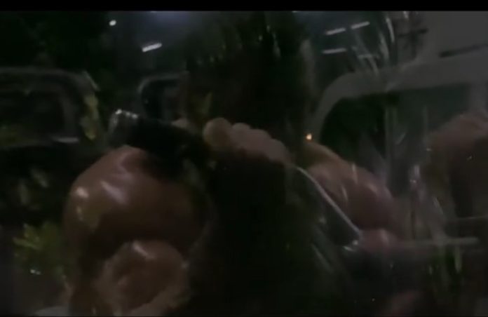 Tiger 3 Salman Khan Look Leaked