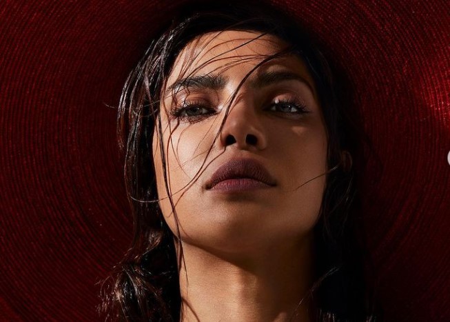 Priyanka Chopra The Activist Mercilessly Trolled