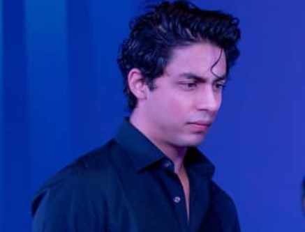 Narcotics Case against Aryan Khan is absurd, Lawyer Says