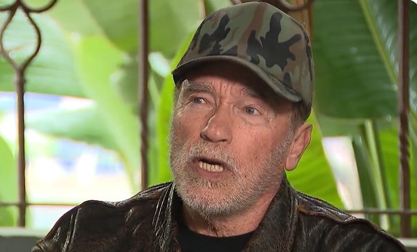 Arnold Schwarzenegger Car Crashes One Woman Injured 1 Arnold Schwarzenegger