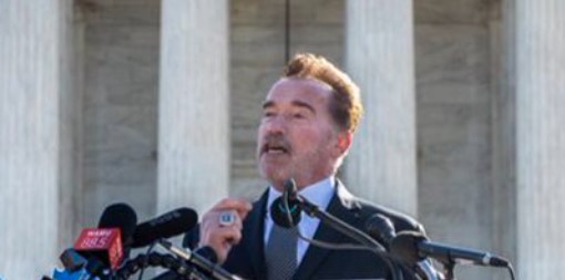 Arnold Schwarzenegger Car Crashes One Woman Injured