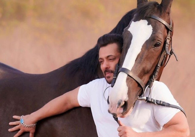 Salman Khan's Horse's Mouth, Fans Warn Him