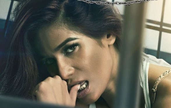 Beaten, and brain haemorrhage - Poonam Pandey Lock Upp Story