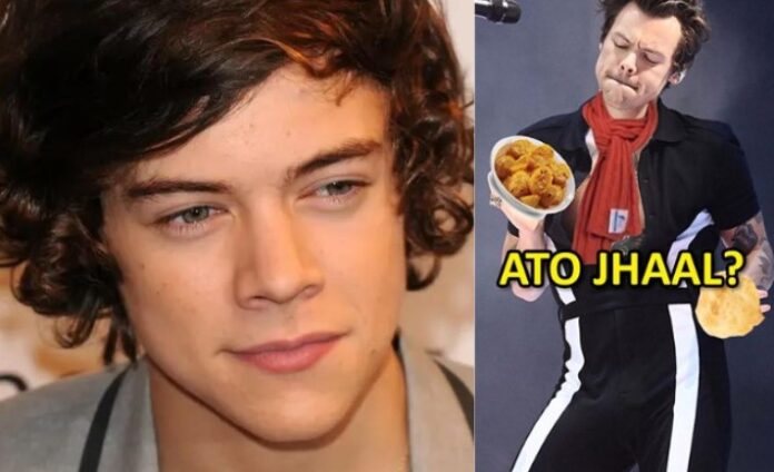 Harry Styles Gets a Bengali Makeover in Hilarious New Parody